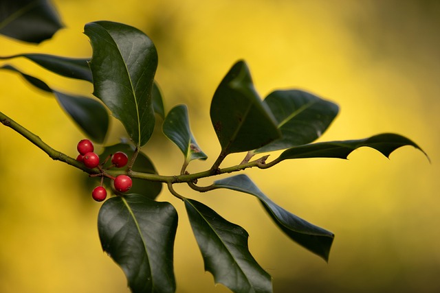 young tree