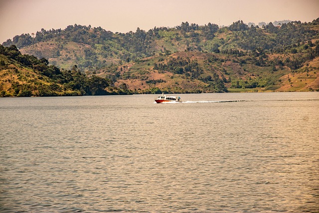 Hình minh họa Zaire