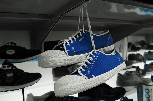 Hình ảnh minh họa ý nghĩa của từ zanni